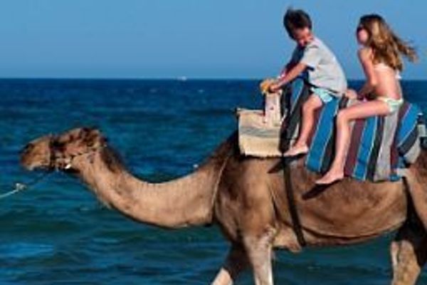 Jet Eldo Salammbô (Hammamet )